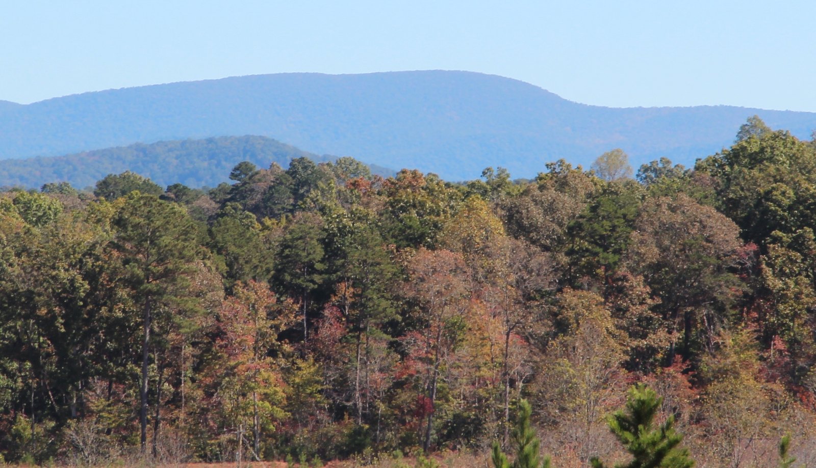 Springer Mountain on the Appalachian Trail