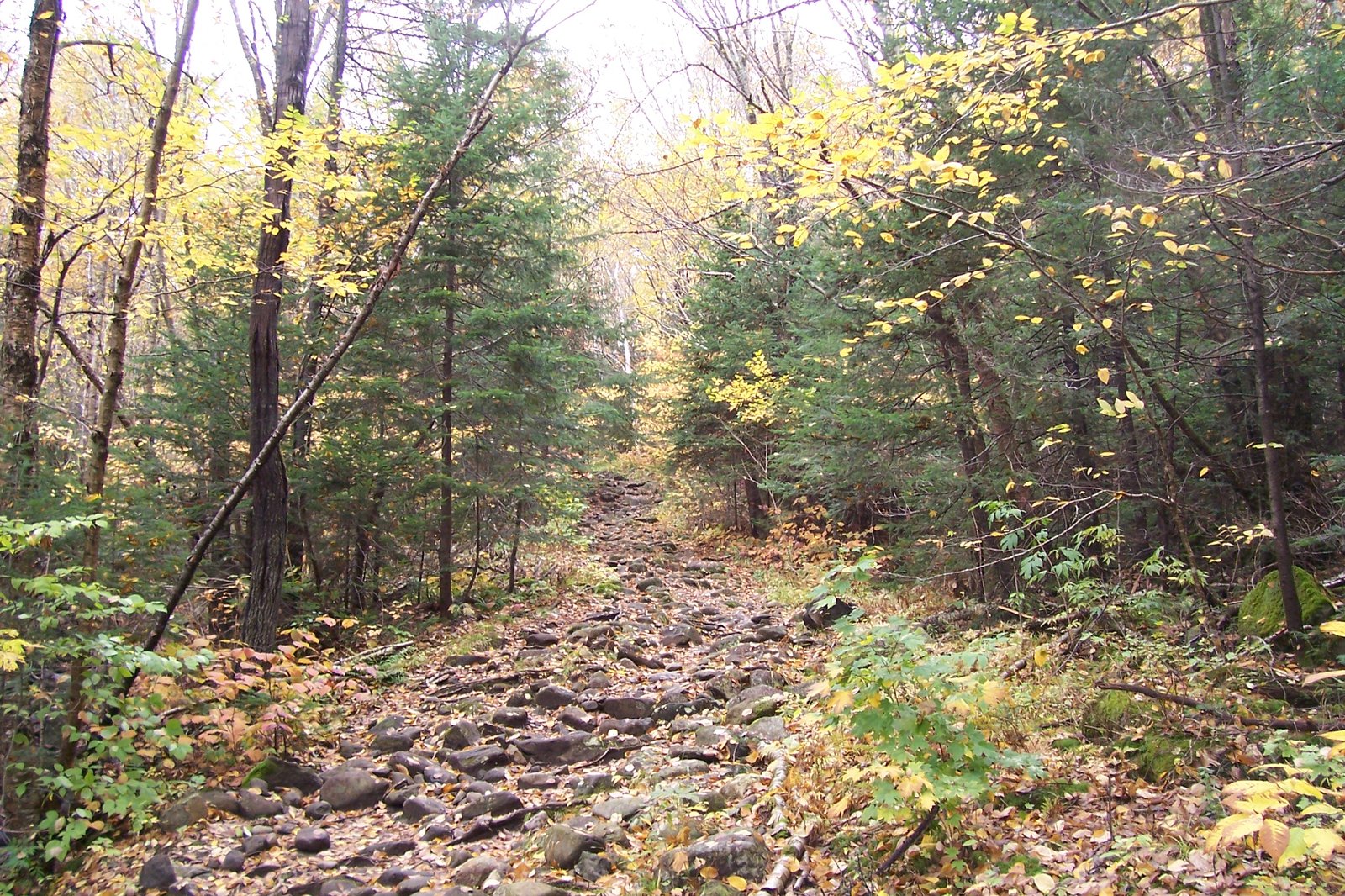 Mount Moosilauke on the Appalachian Trail