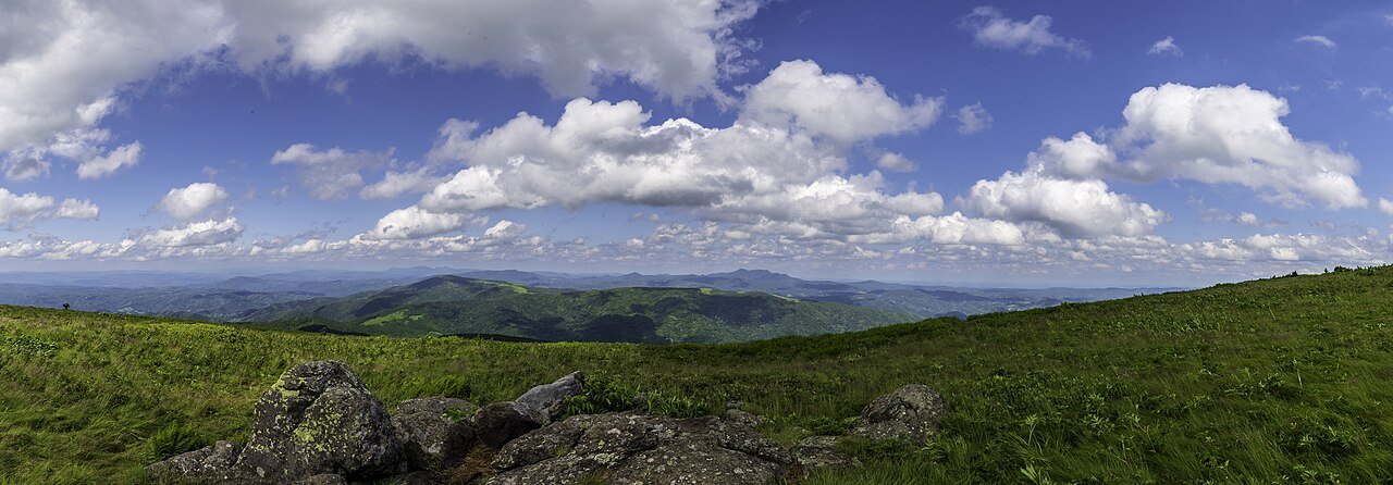 Roan Highlands on the Appalachian Trail