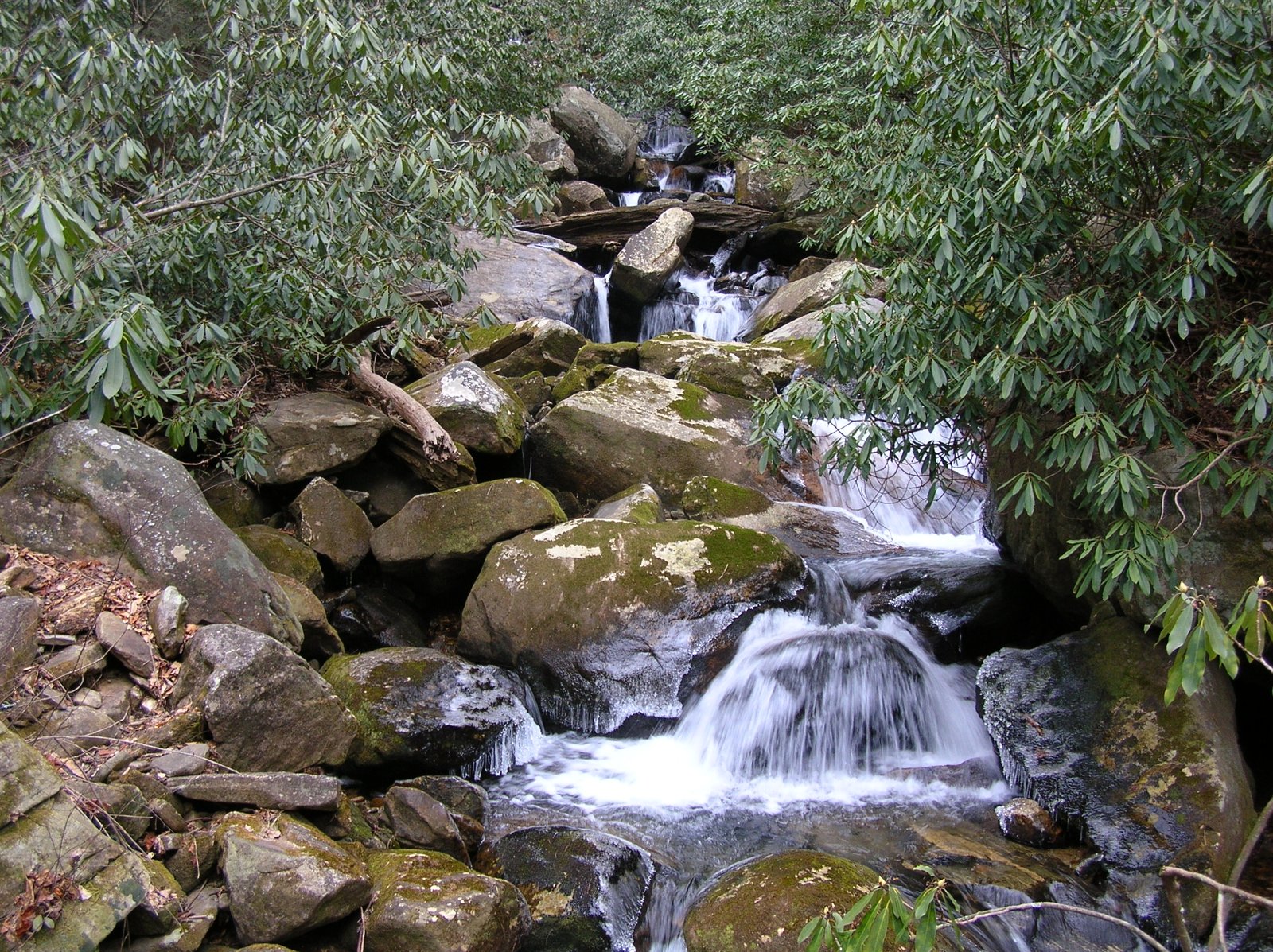 Laurel Fork Falls on the Appalachian Trail