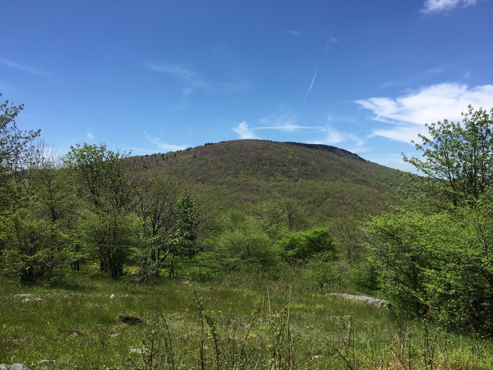Whitetop Mountain on the Appalachian Trail