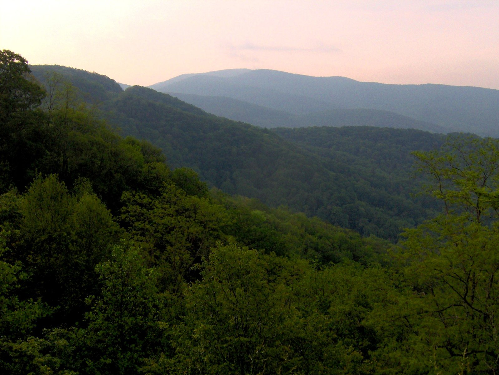 Unicoi Gap on the Appalachian Trail