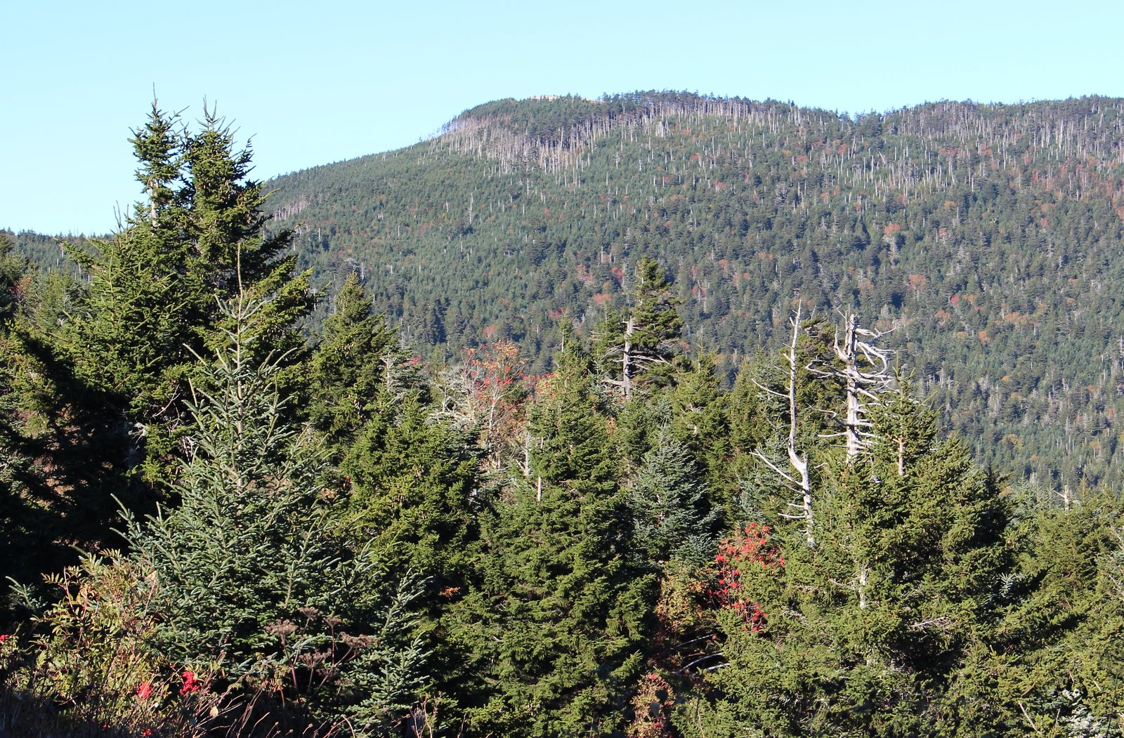 Standing Indian Mountain on the Appalachian Trail