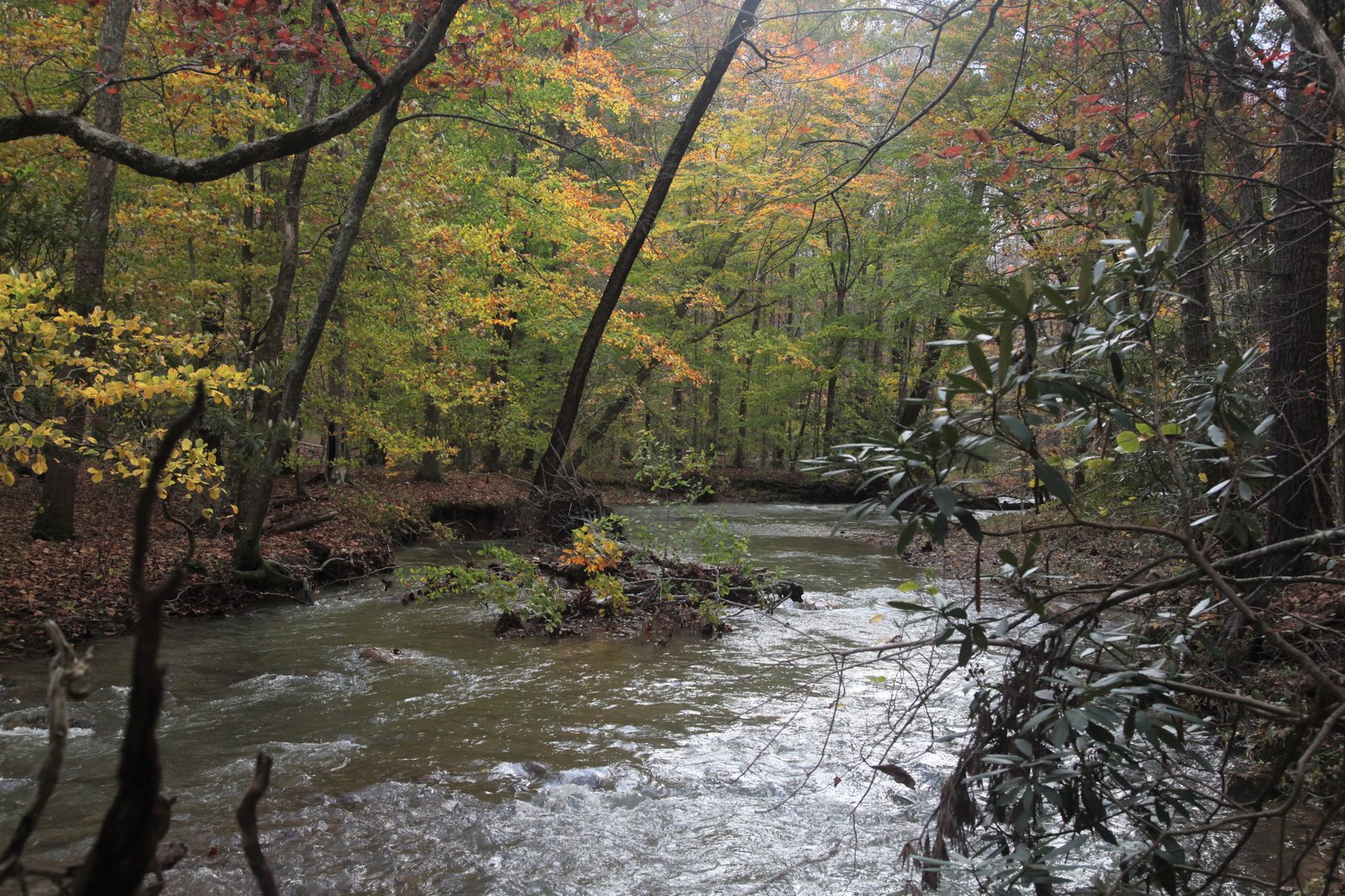 Sinking Creek Mountain on the Appalachian Trail