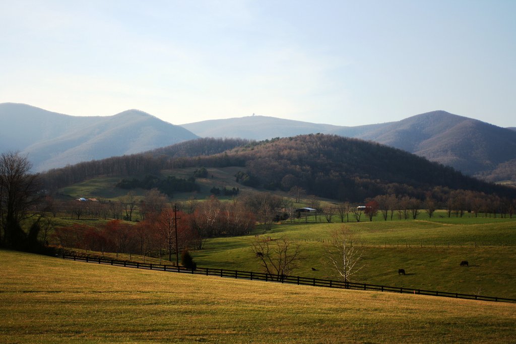 Apple Orchard Mountain on the Appalachian Trail