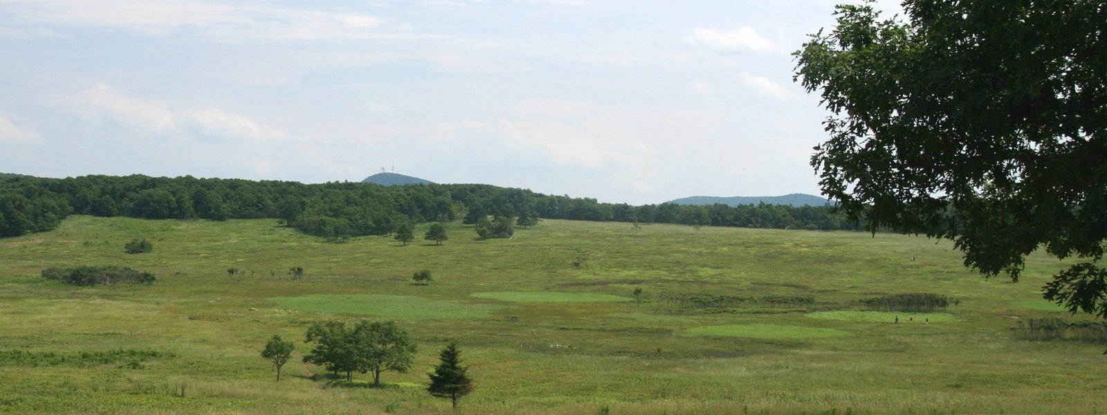 Big Meadows on the Appalachian Trail