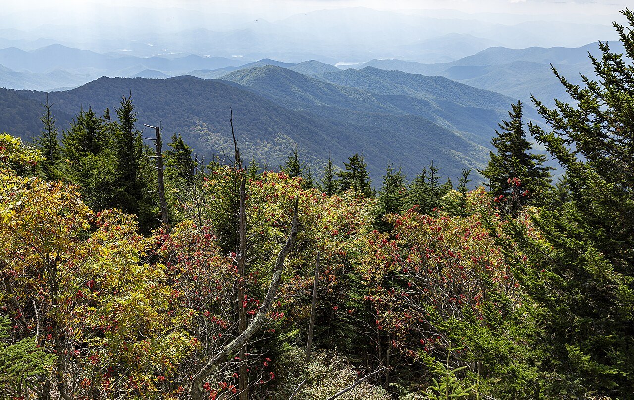 Clingmans Dome on the Appalachian Trail