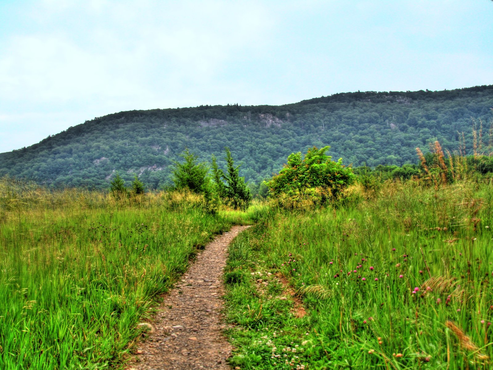 Wawayanda Mountain on the Appalachian Trail