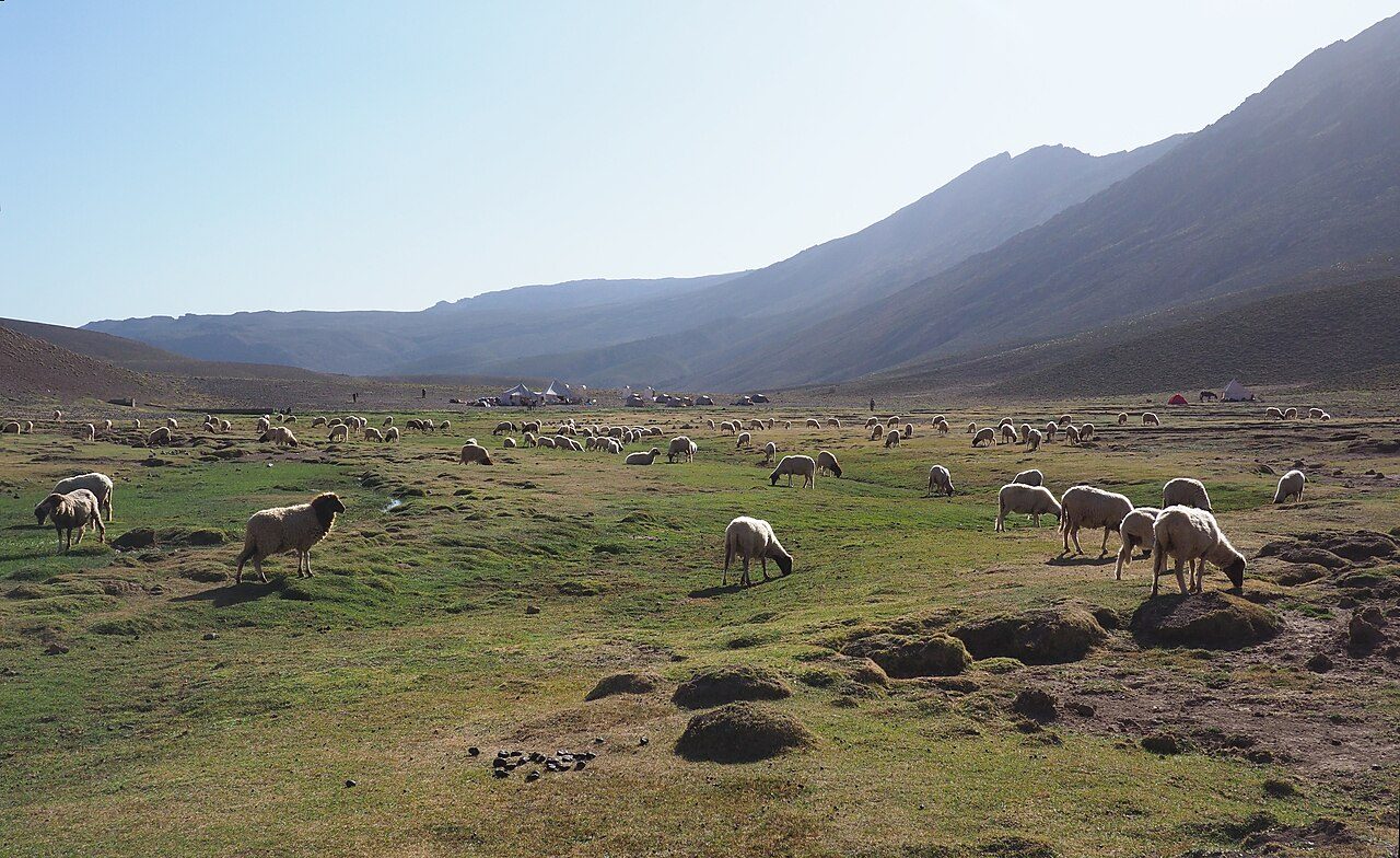 Tarkeddit Plateau on the High Atlas Traverse