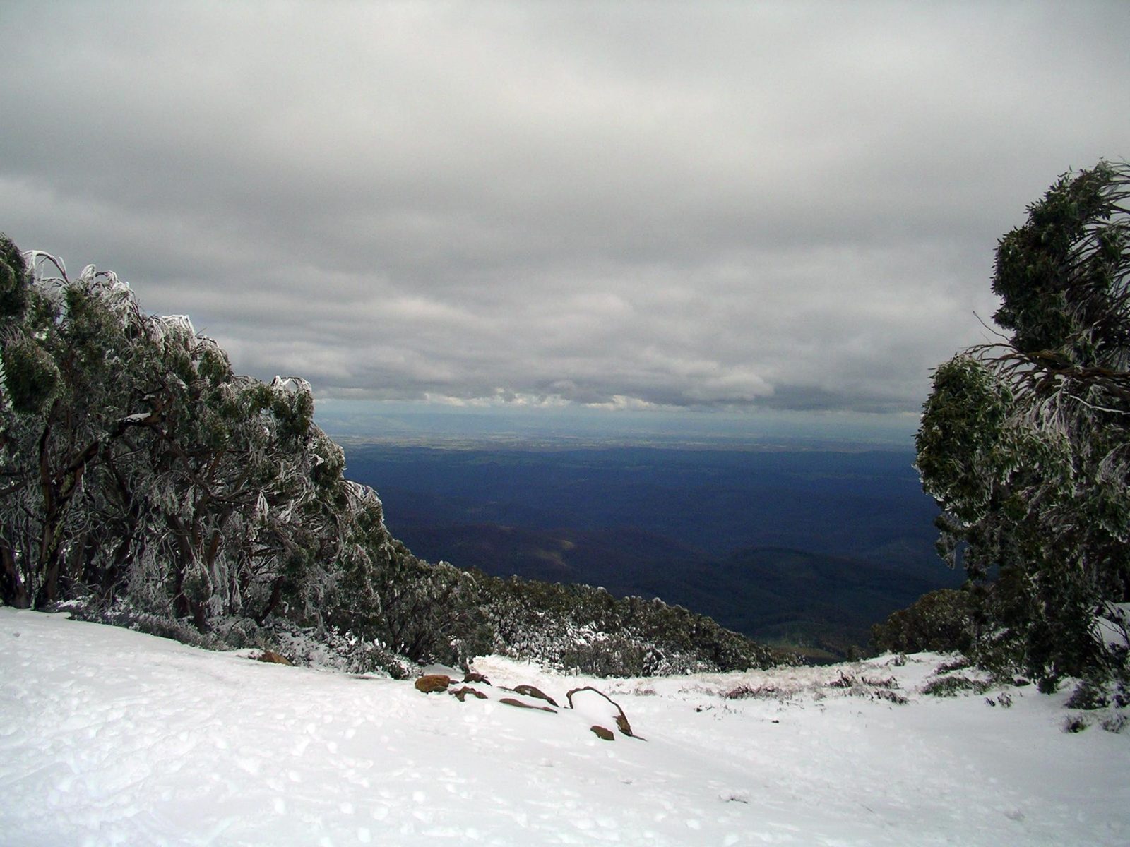 Baw Baw Plateau on the Australian Alps Walking Track