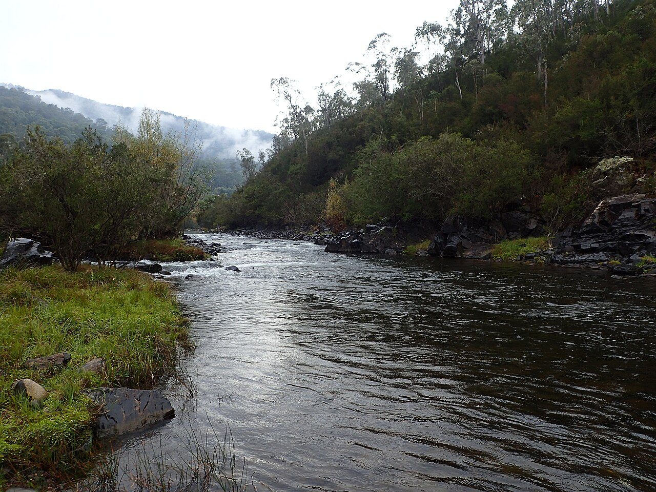Mitta Mitta River on the Australian Alps Walking Track