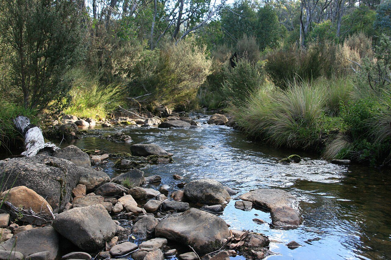 Cowombat Flat on the Australian Alps Walking Track