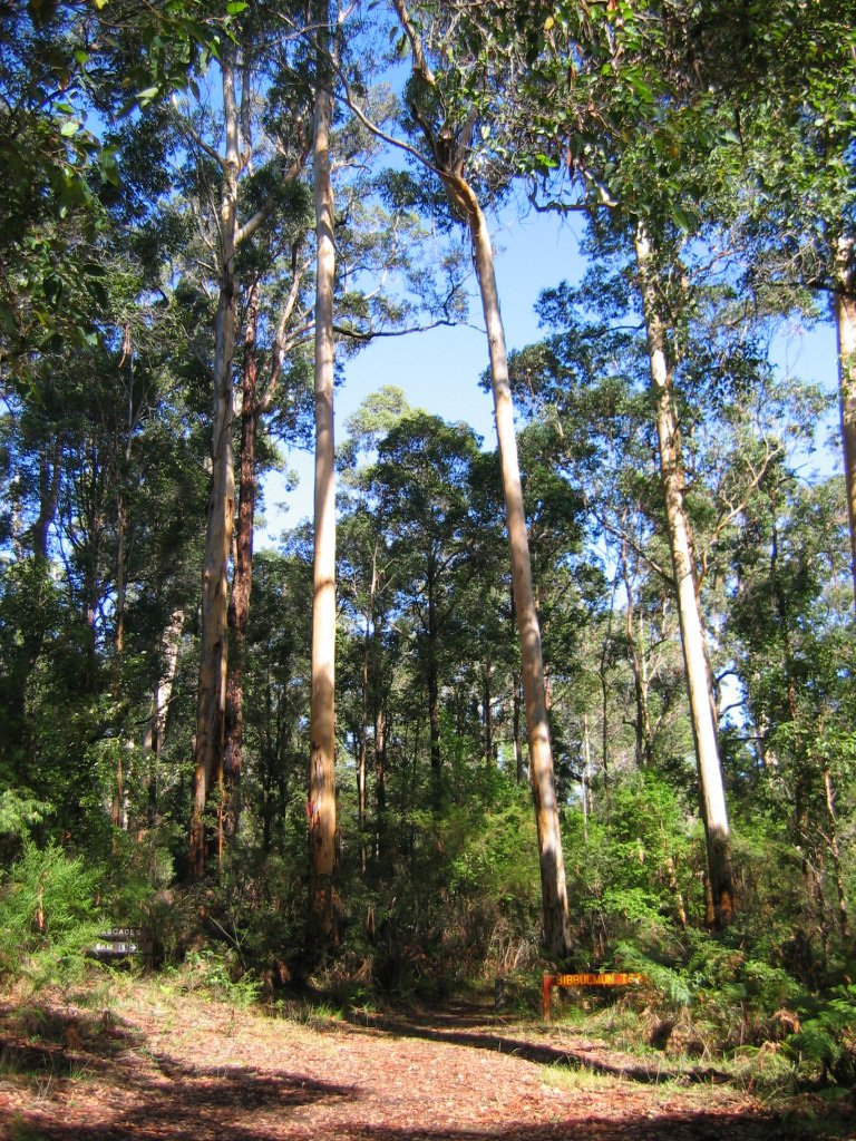 Kalamunda Northern Terminus on the Bibbulmun Track