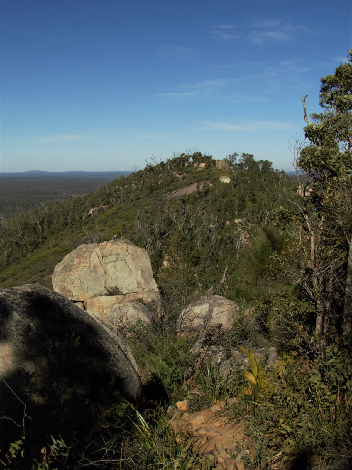 Mount Cooke on the Bibbulmun Track