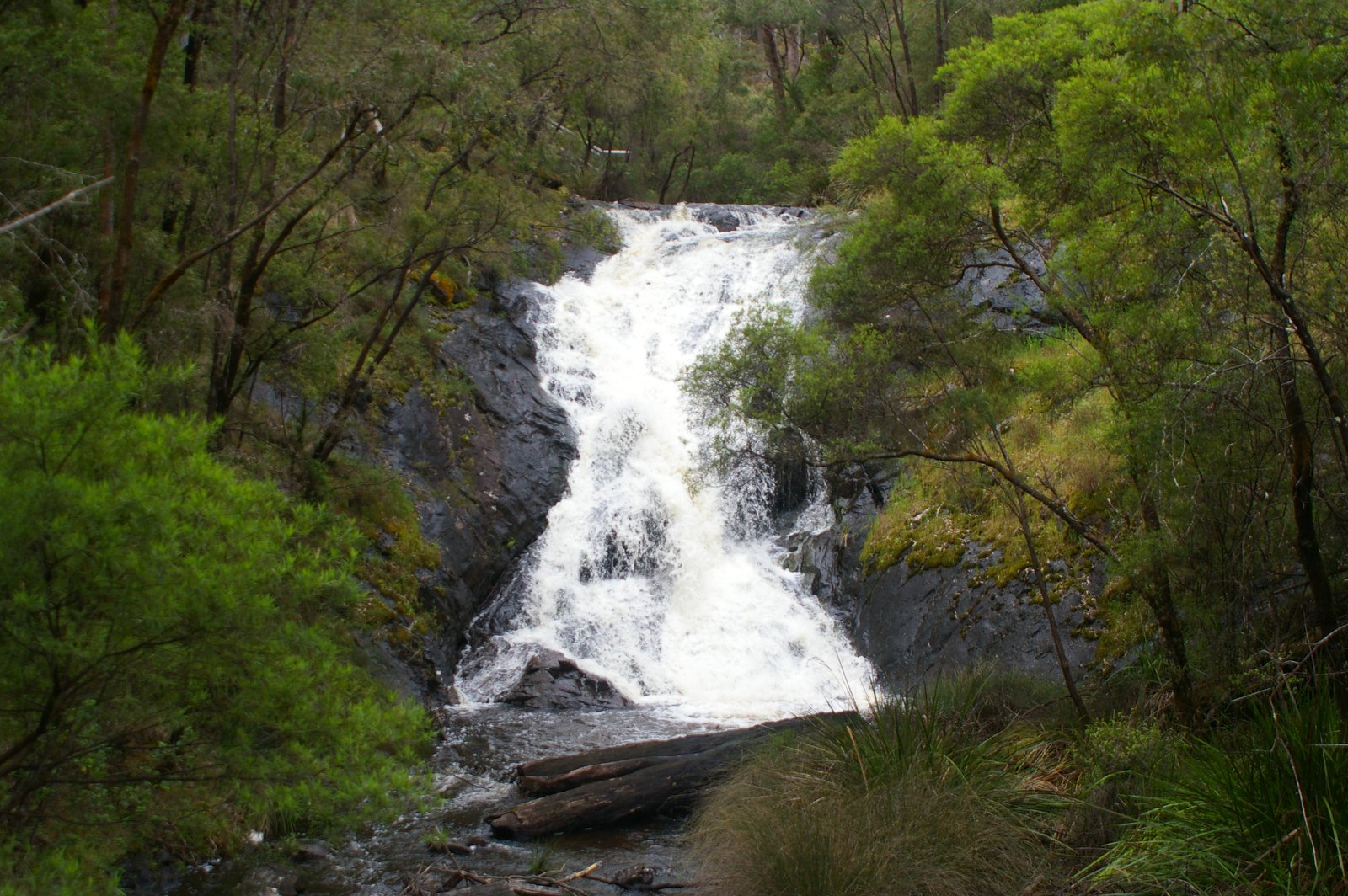 Beedelup Falls on the Bibbulmun Track