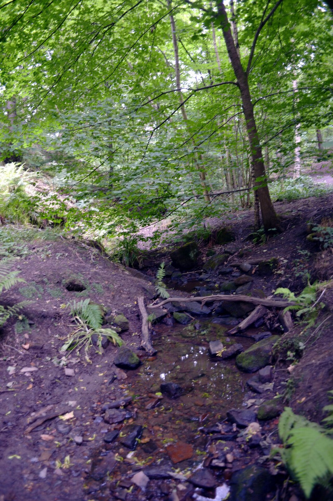 Northcliffe on the Bibbulmun Track