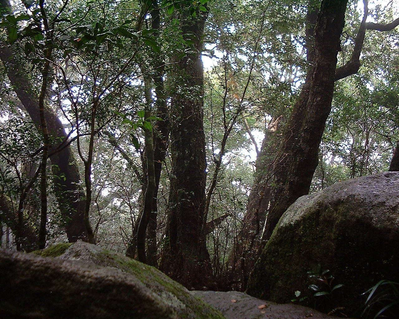 Nerang Campsite on the Bibbulmun Track