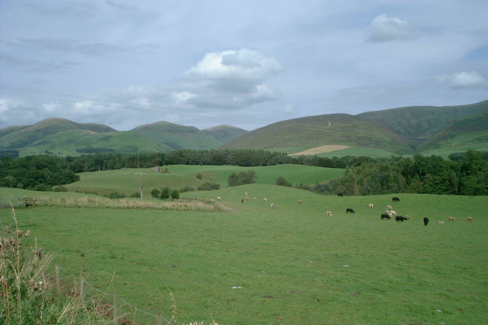 Southern Uplands on the Length of Britain