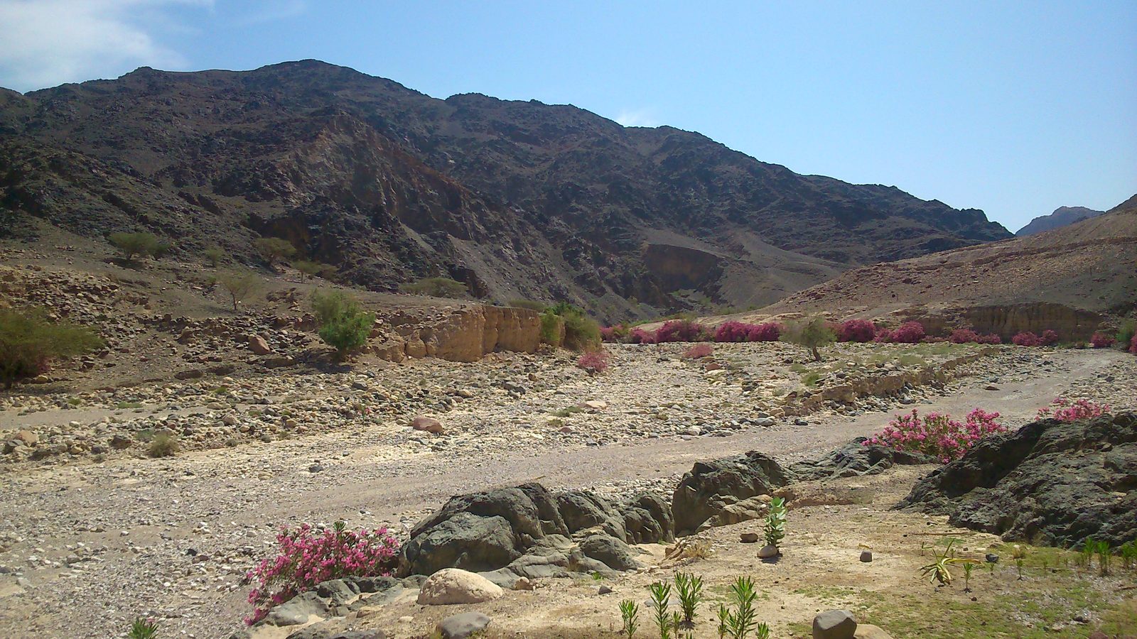 Feynan on the Jordan Trail