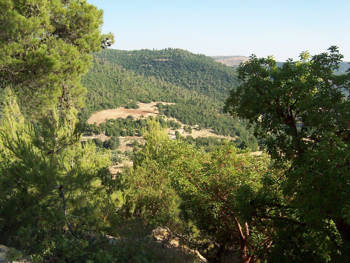 Ajloun Forest Reserve on the Jordan Trail