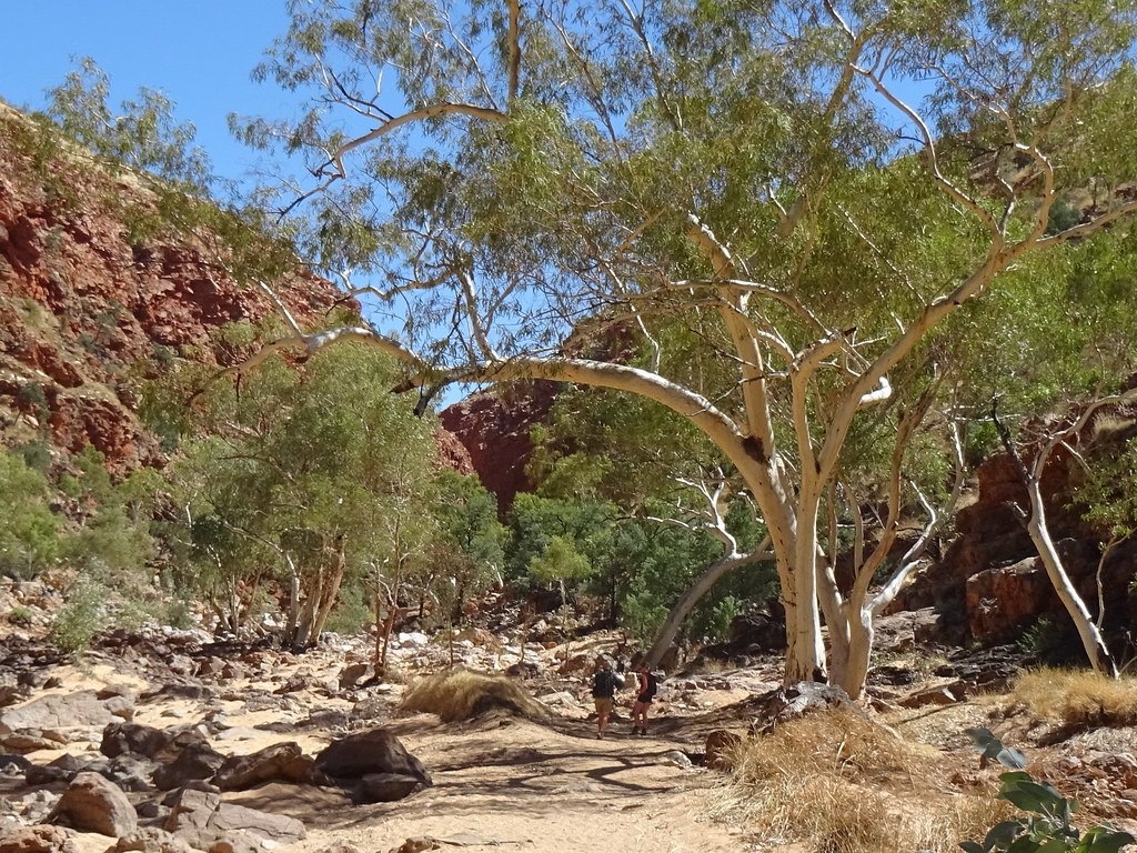 Redbank Gorge on the Larapinta Trail