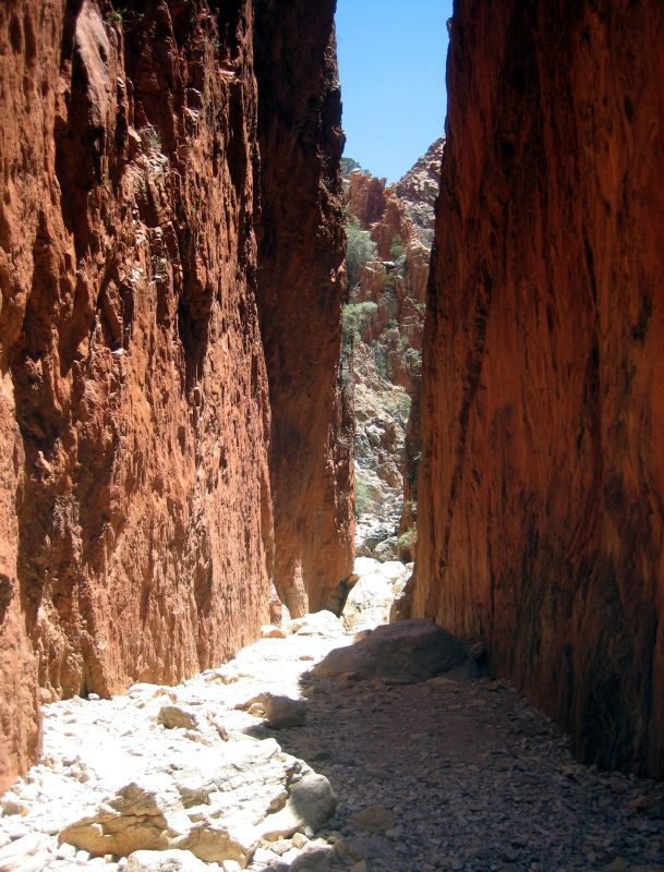 Standley Chasm (Angkerle Atwatye) on the Larapinta Trail