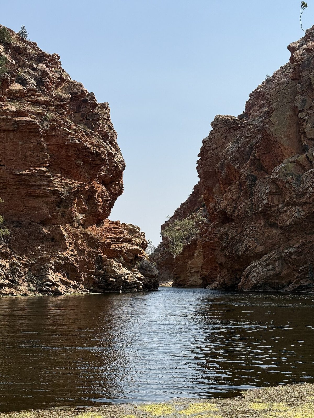 Ellery Creek Big Hole on the Larapinta Trail