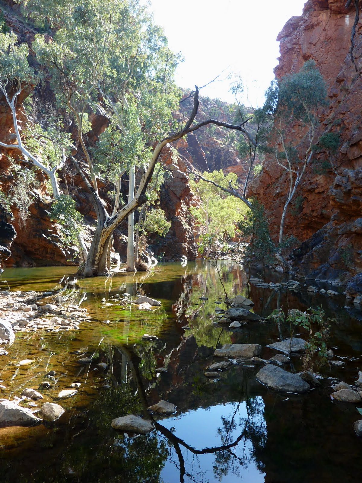 Serpentine Gorge on the Larapinta Trail