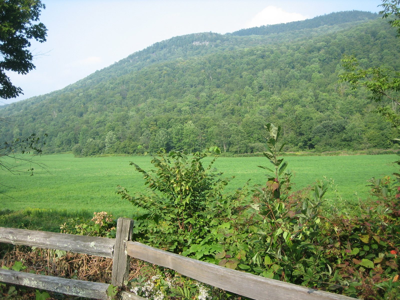 Middlebury Gap on The Long Trail