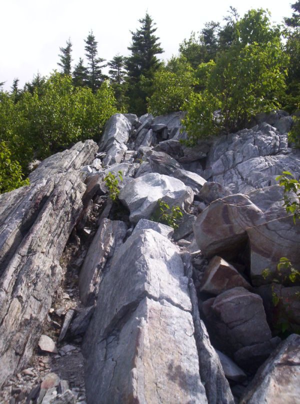 Baker Peak on The Long Trail