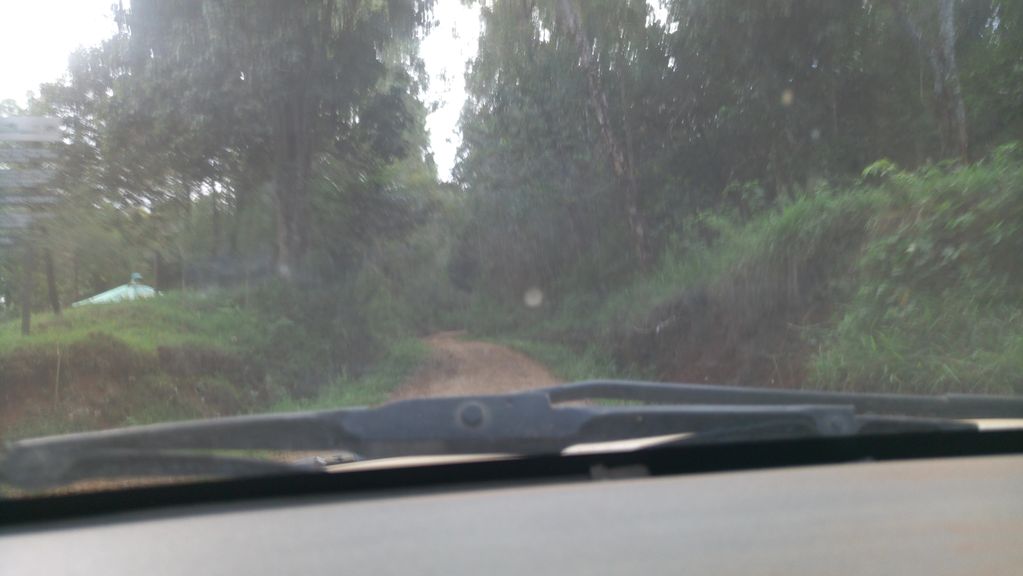 Chogoria Gate on Mount Kenya (Chogoria Route)