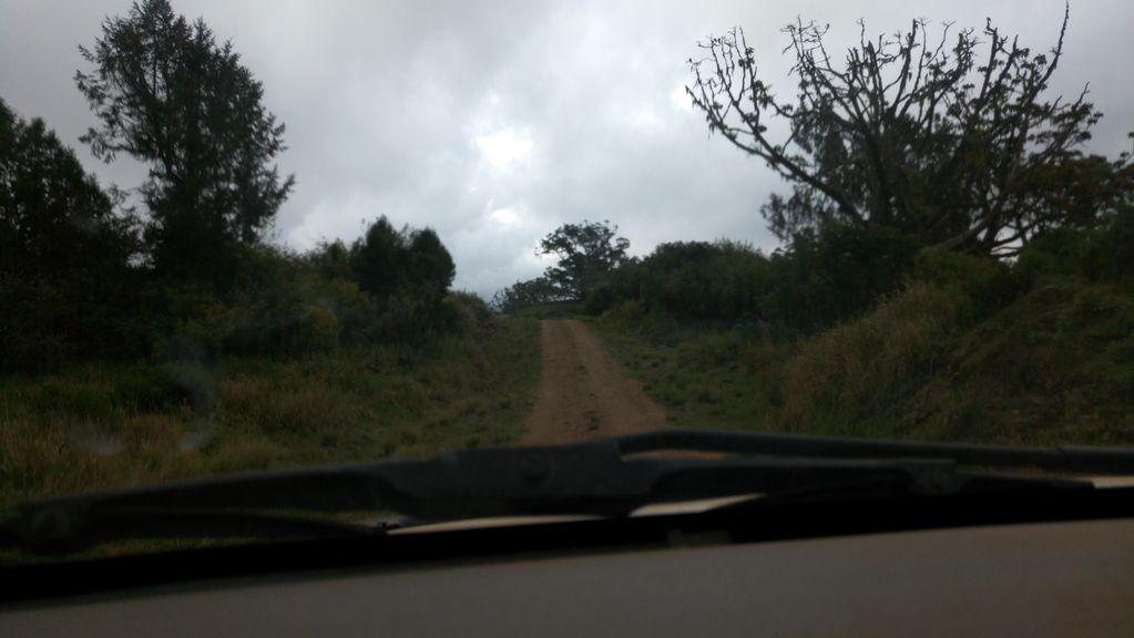 Meru Bandas on Mount Kenya (Chogoria Route)