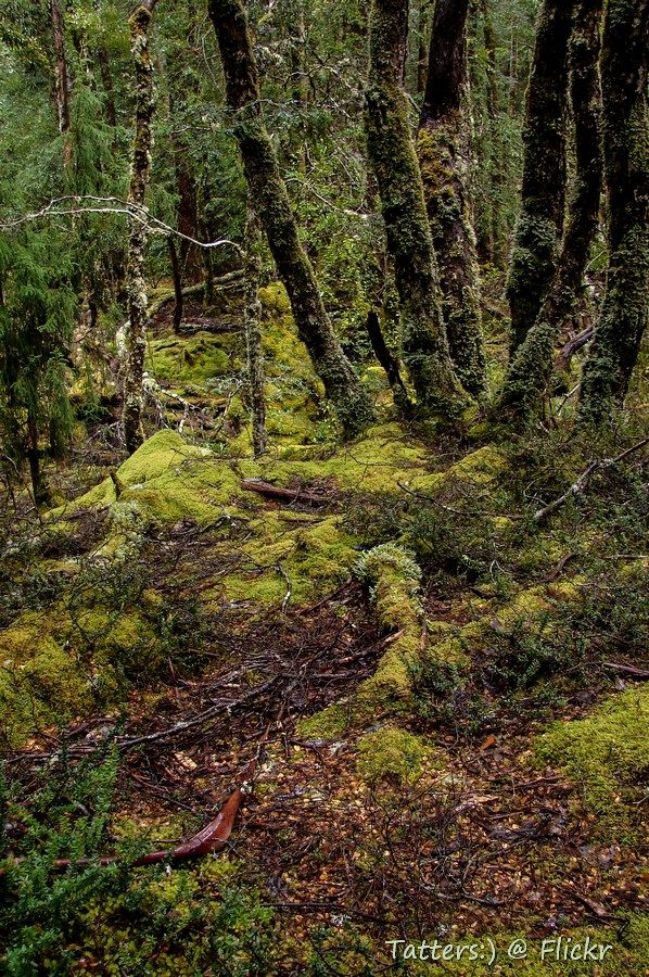 Kia Ora Hut on the Overland Track