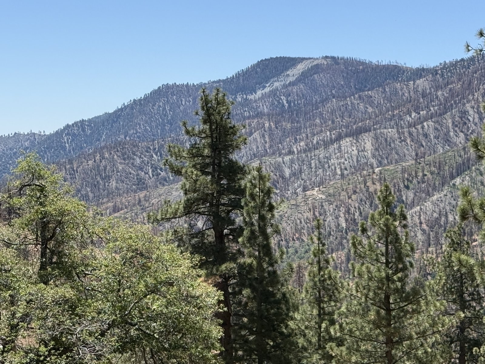 Wright Mountain and the Pinyon Ridges on the Pacific Crest Trail