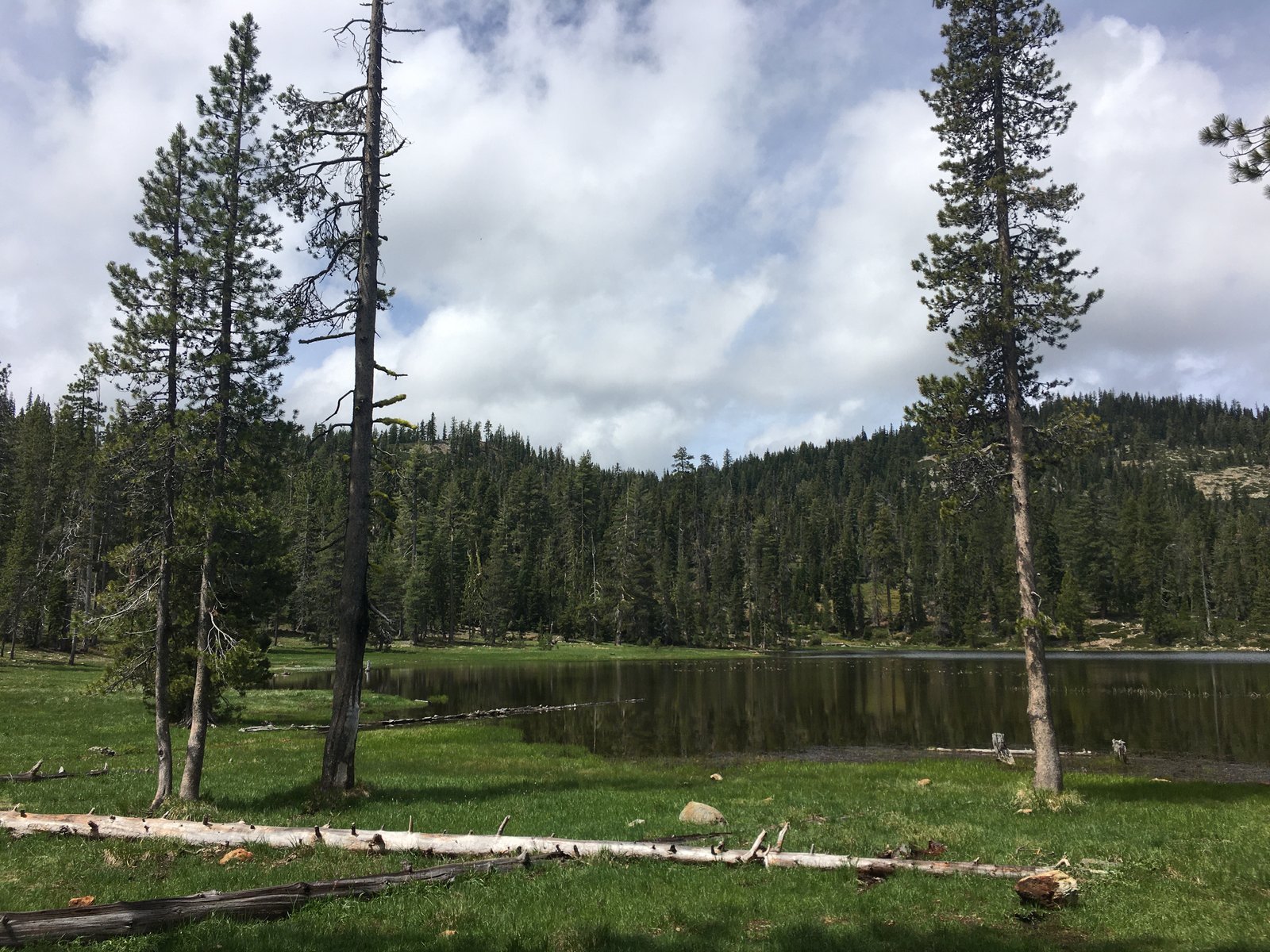 Gumboot Saddle on the Pacific Crest Trail