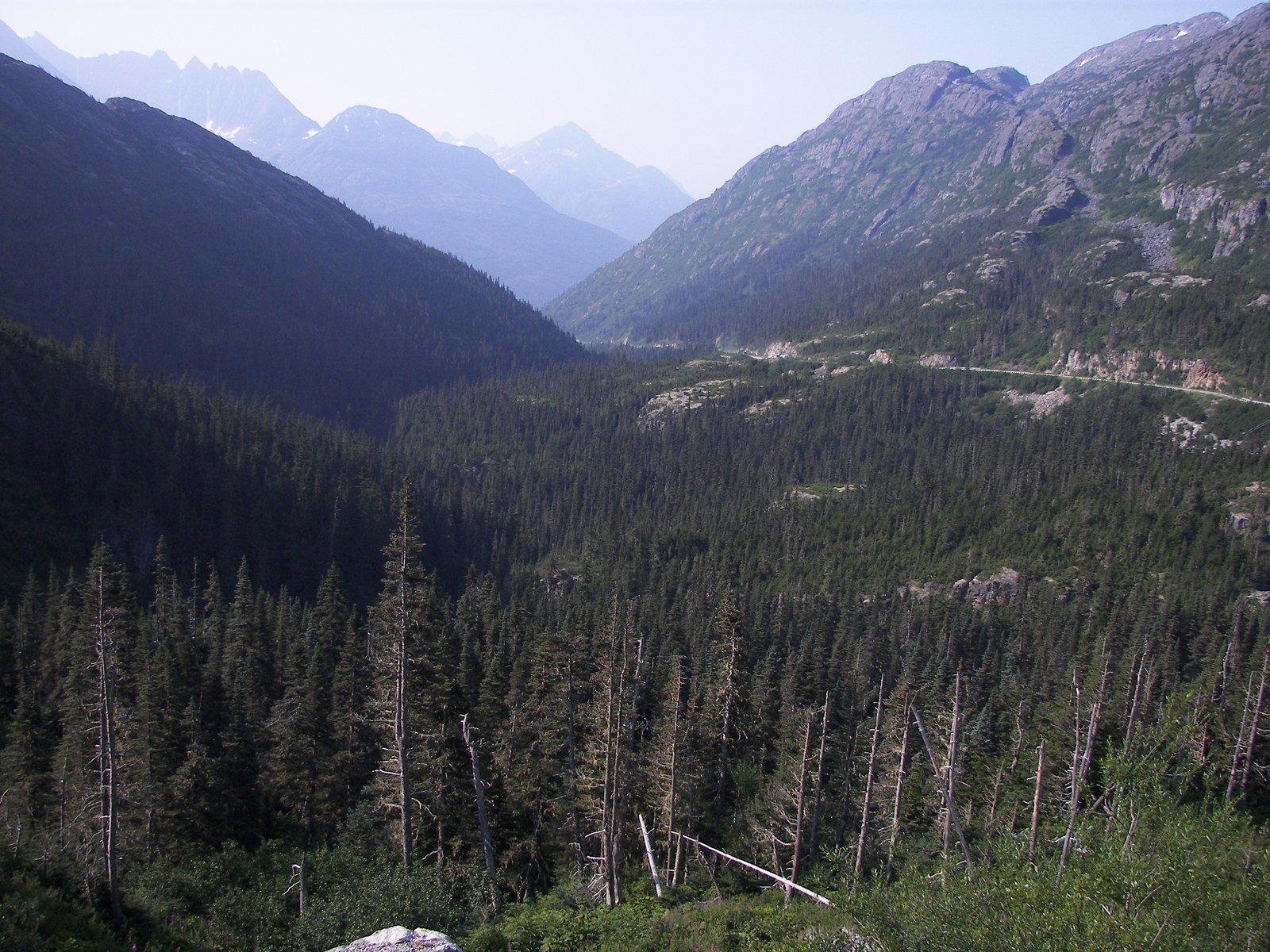 White Pass on the Pacific Crest Trail