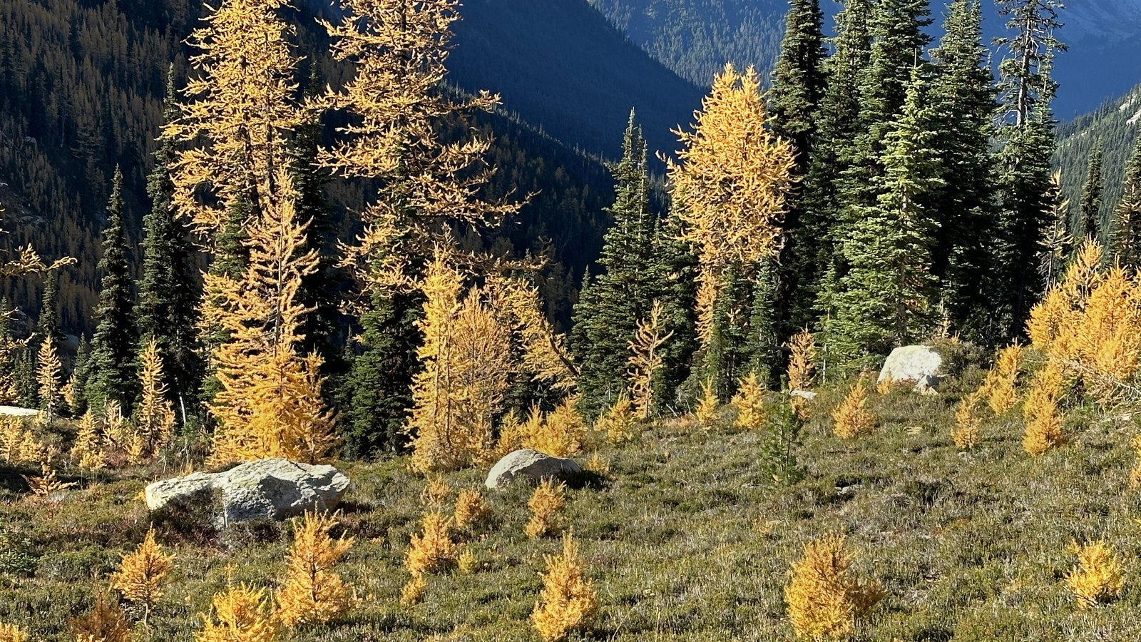 Cutthroat Pass and the Pasayten on the Pacific Crest Trail