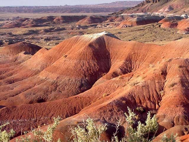 Petrified Forest / Painted Desert AZ on Route 66