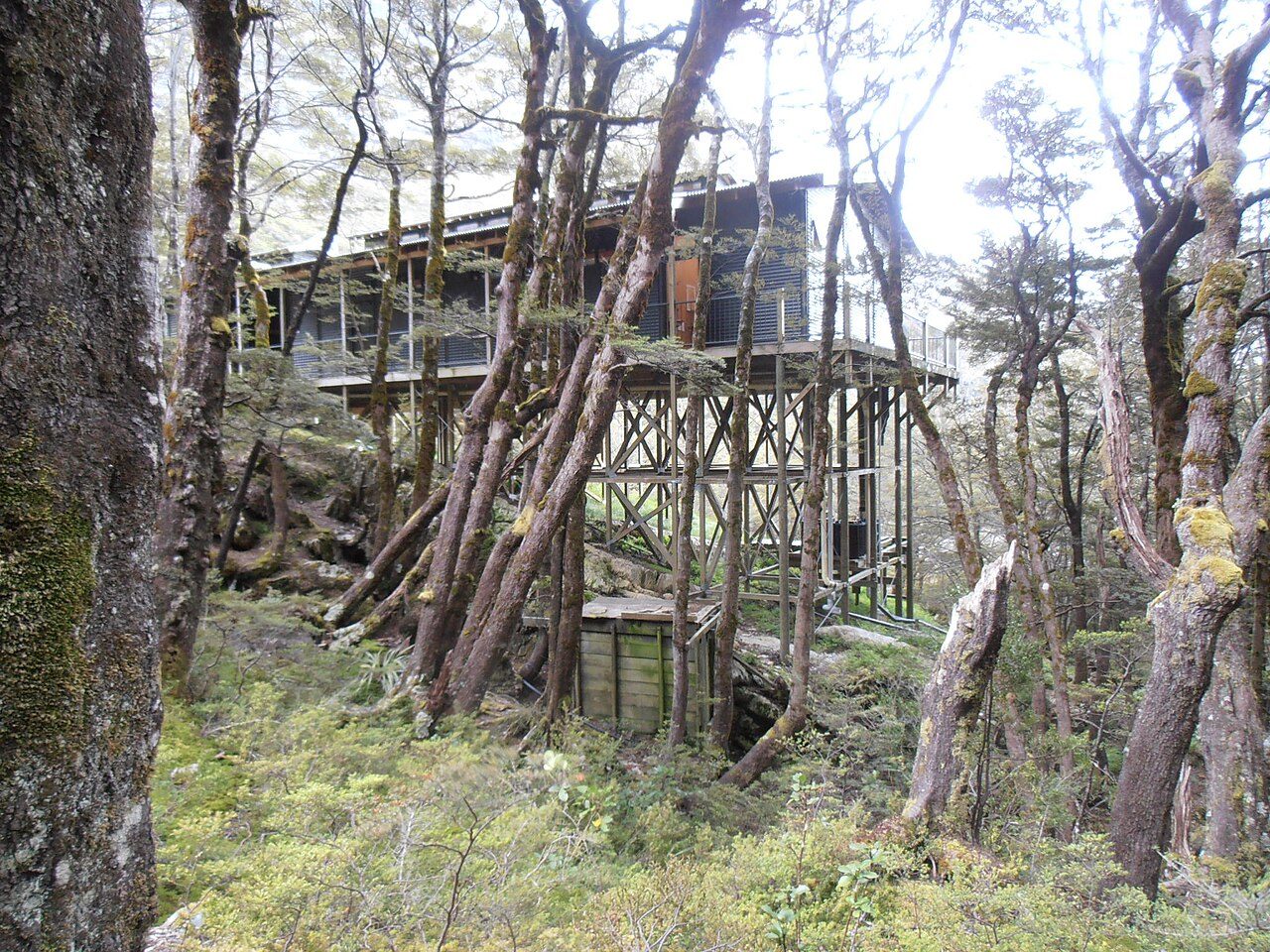 Routeburn Falls Hut on the Routeburn Track