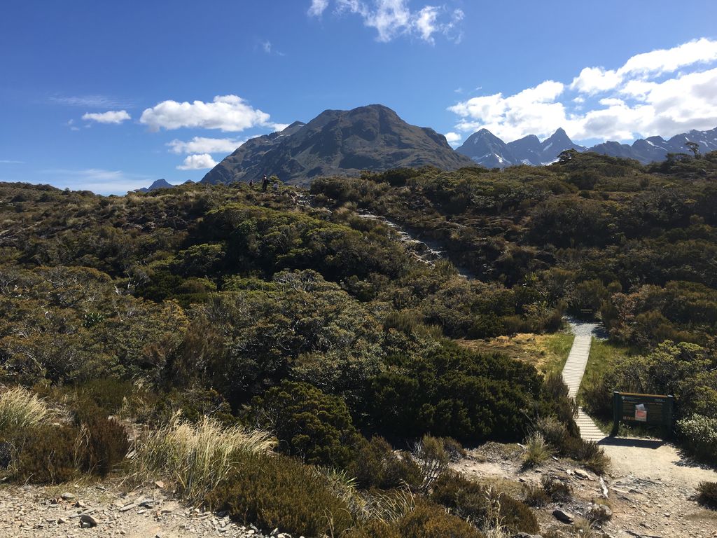 Key Summit on the Routeburn Track
