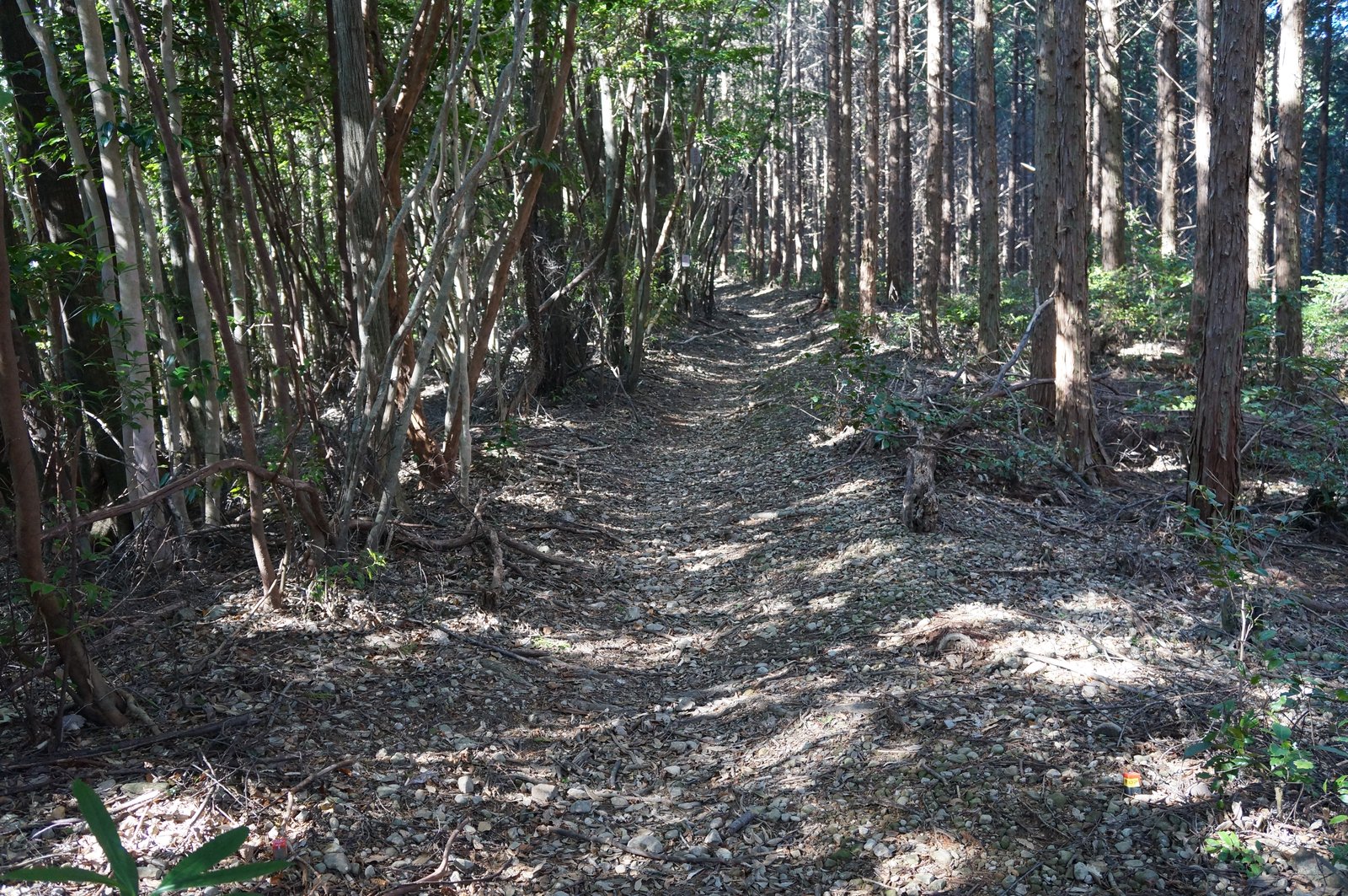 Soegawa valley and the seven slopes on the Shikoku Pilgrimage