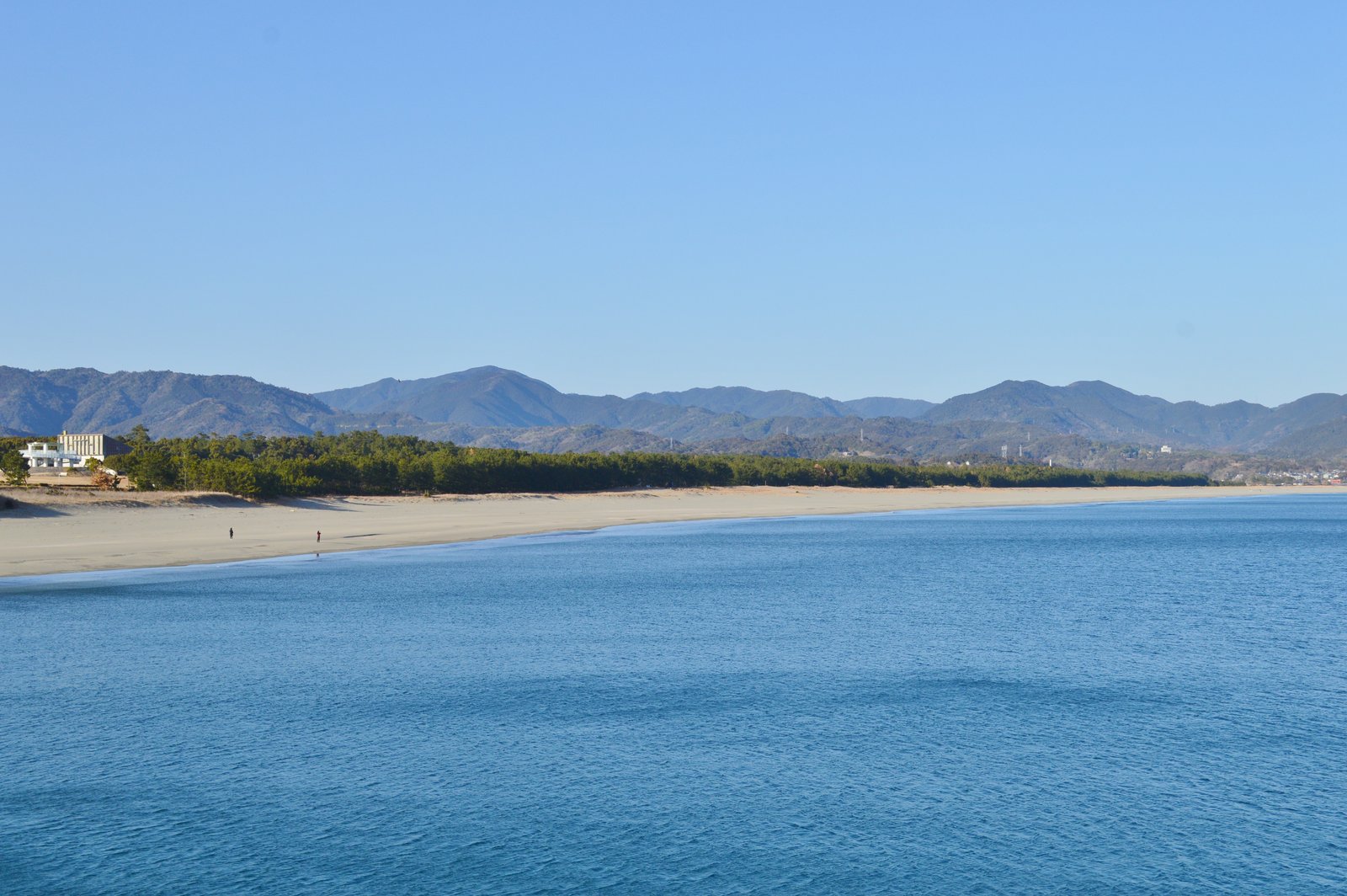 Irino and the Black Pine Grove on the Shikoku Pilgrimage