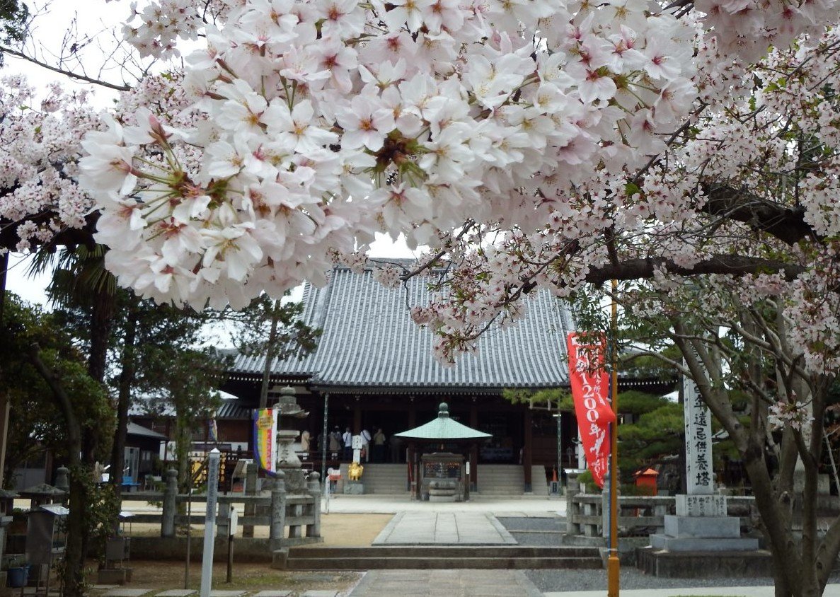 Konzoji (Temple 76) and Marugame plain on the Shikoku Pilgrimage