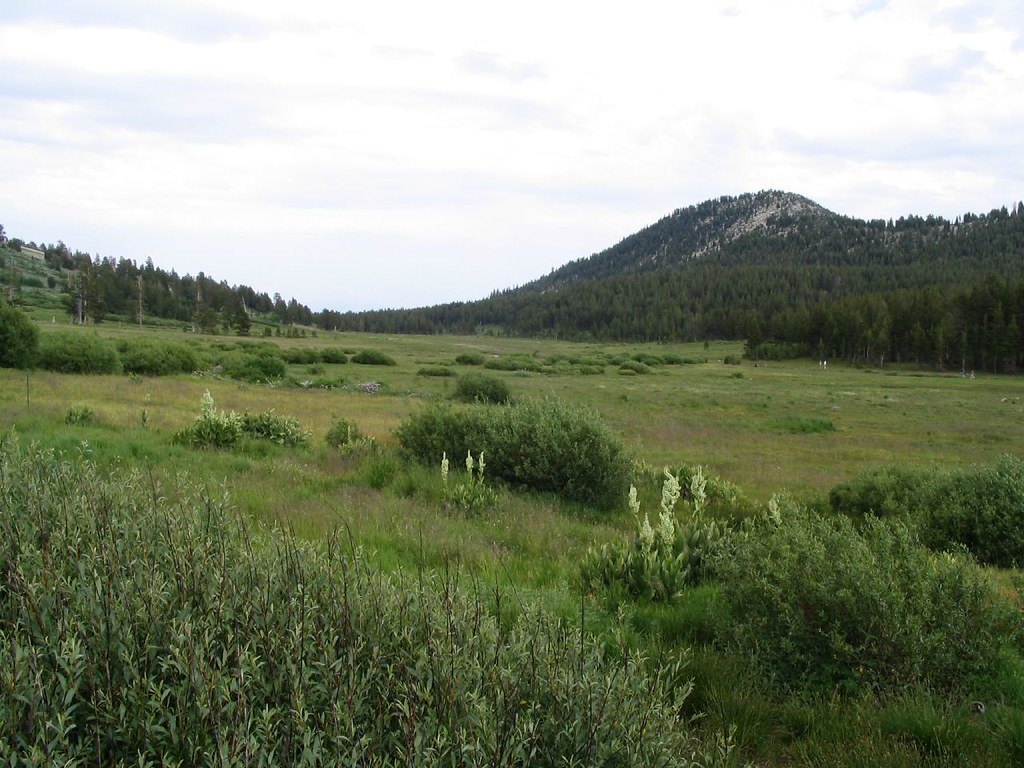 Tahoe Meadows on the Tahoe Rim Trail