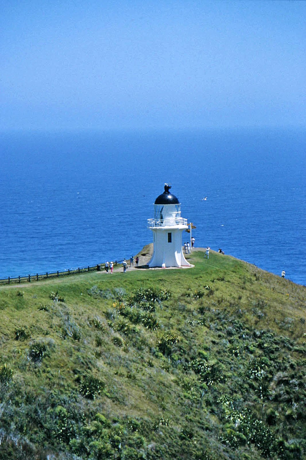 Cape Reinga Lighthouse on Te Araroa