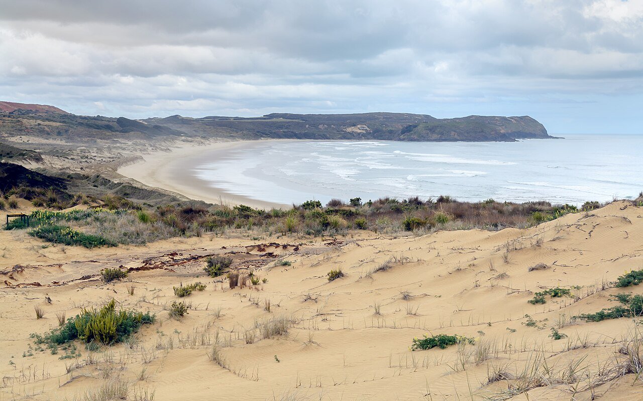 Twilight Beach on Te Araroa