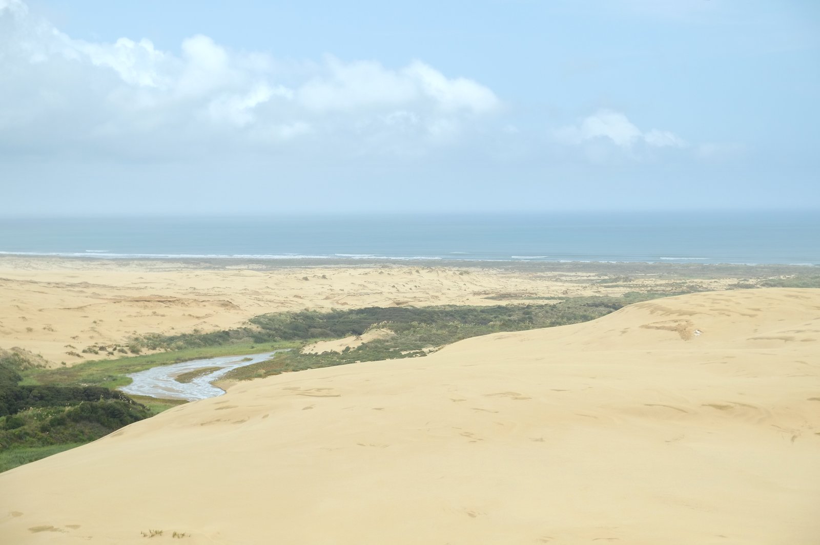 The Bluff (Te Paki Stream mouth) on Te Araroa