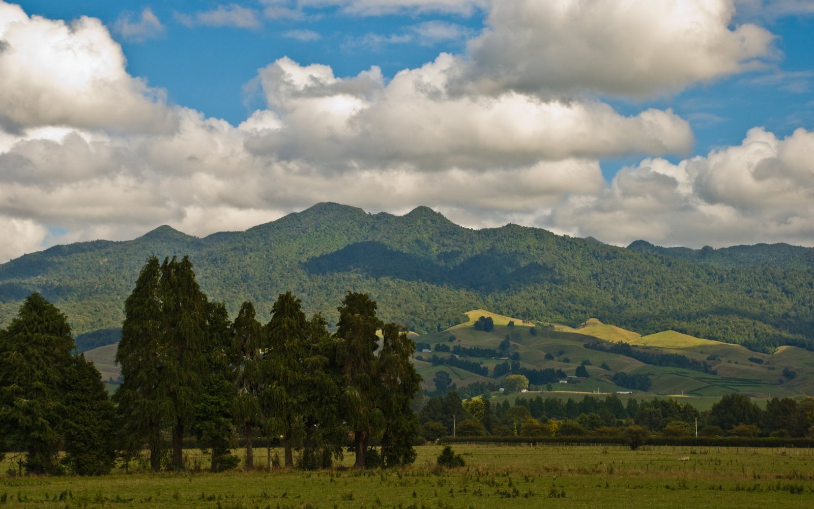 Mount Pirongia on Te Araroa