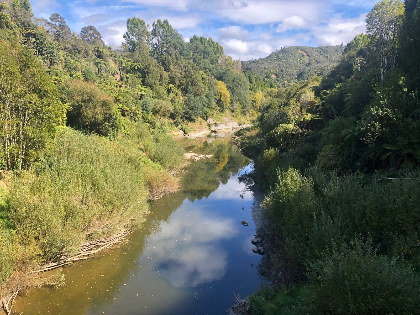 Whakahoro, Whanganui River on Te Araroa