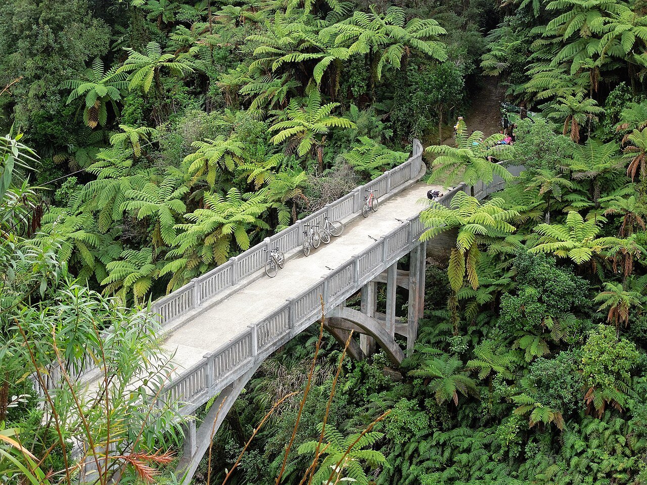 Bridge to Nowhere on Te Araroa